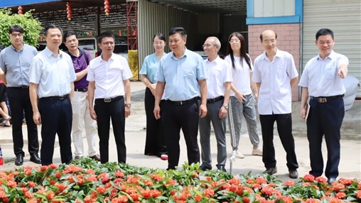 自治區政協常委、梧州市政協主席黃振饒蒞臨百裕集團走訪調研
